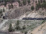 RMRX 8015 leads the Rocky Mountaineer westbound down the Thompson River Gorge